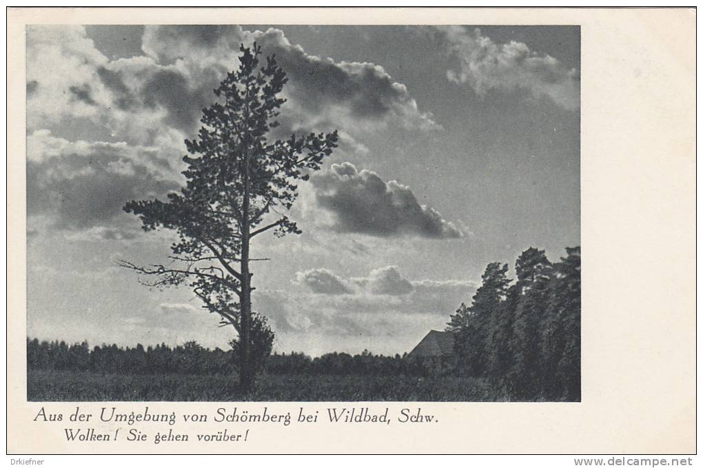 Schömberg, Schwarzw., Wolken! Sie Gehen Vorüber!, Um 1930 - Schömberg