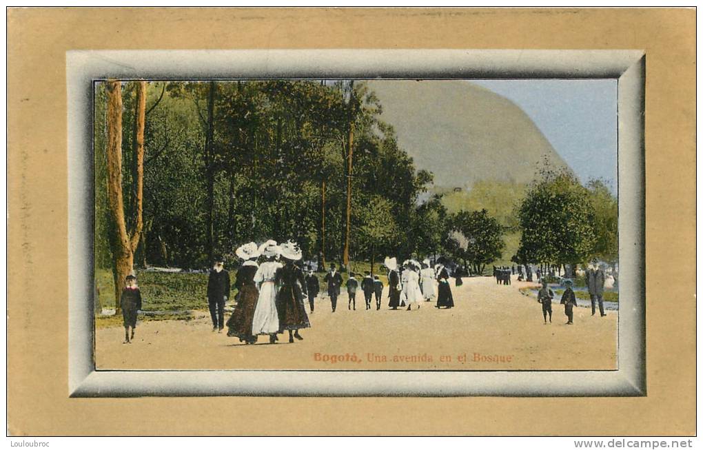 BOGOTA UNA AVENIDA EN ET BOSQUE - Colombie