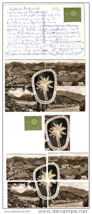 AK 143 EIN ECHTES EDELWEISS MIT GRÜSSEN AUS HAUSHAM/BAYR. ALPEN Mehrbild 4 Bilder Mit 10 Pf EUROPA 1960 Beklebt - Miesbach