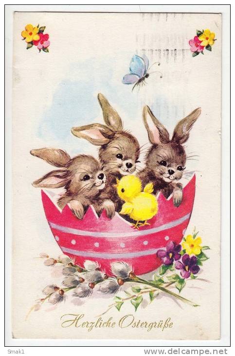 EASTER BUNNYS AND CHICKEN IN A BIG EGG BUTTERFLY Nr. 1135 OLD POSTCARD 1975. - Pâques