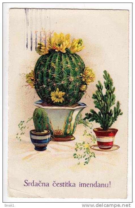 NAME DAY CACTUS L&P Nr. 2483 OLD POSTCARD 1932. - Other & Unclassified