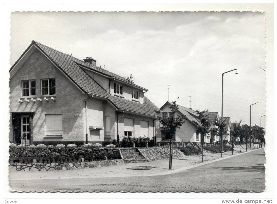 HOUTHALEN-TUINWIJK TENHOUT-NIET VERZONDEN-UITG.UNIC HOUTHALEN - Houthalen-Helchteren