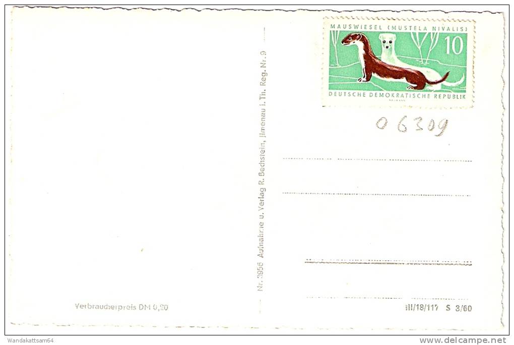 AK 3956 Großbreitenbach/Th.W.-Gru Ndstal Mit Wiegandsmühle Mit 1 X 10 Pf DDR "Mauswiesel (Mustela Nivalis)" Beklebt - Ilmenau