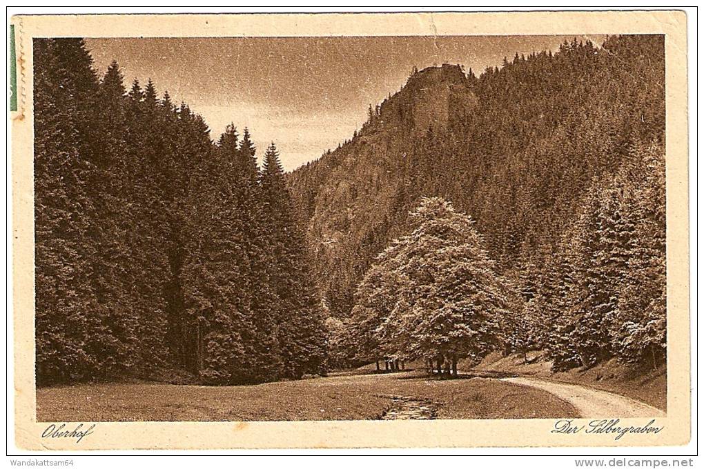 AK 2396 Höhenluftkurort Oberhof Thür. Wald Der Silbergraben Mit Räuberstein Mit 3 X 40 M "Deutsches Reich" Schnitter - Oberhof