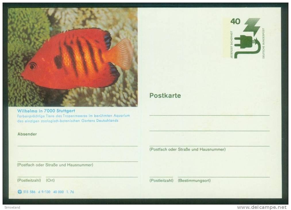 Bund BPK  1976  Mi: P 120 D9-130  Stuttgart - Zoo Wilhelma - Fisch - Postales Ilustrados - Nuevos