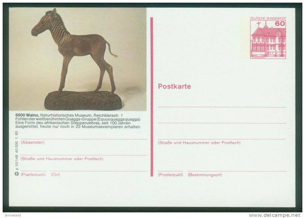 Bund BPK  1985  Mi: P 138 P10-146  Mainz - Quagga-Fohlen - Illustrated Postcards - Mint