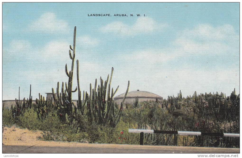 LANDSCAPE / ARUBA N.W.I. - Saint-Eustache