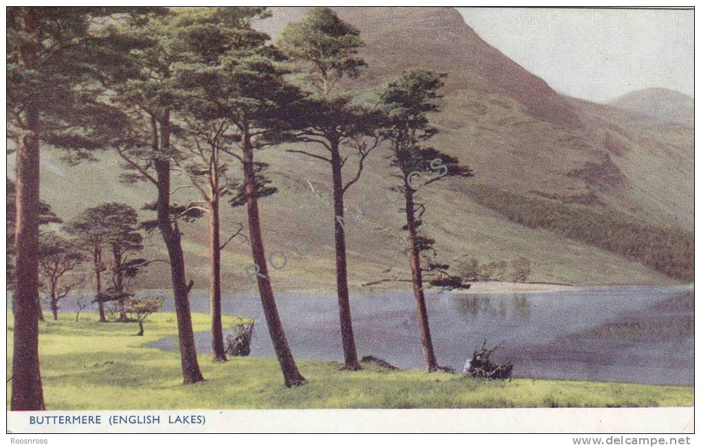 CP  BUTTERMERE  ANGLETERRE ENGLISH LAKE - Buttermere