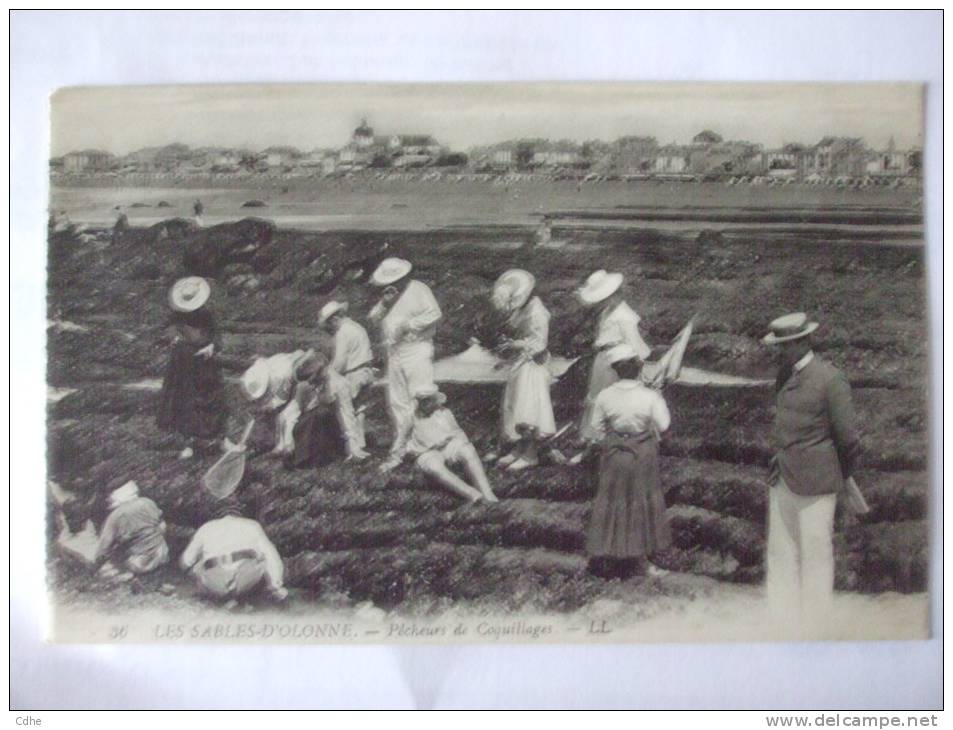 85 - AL - LES SABLES D'OLONNE -  PECHEURS DE COQUILLAGES - Sables D'Olonne