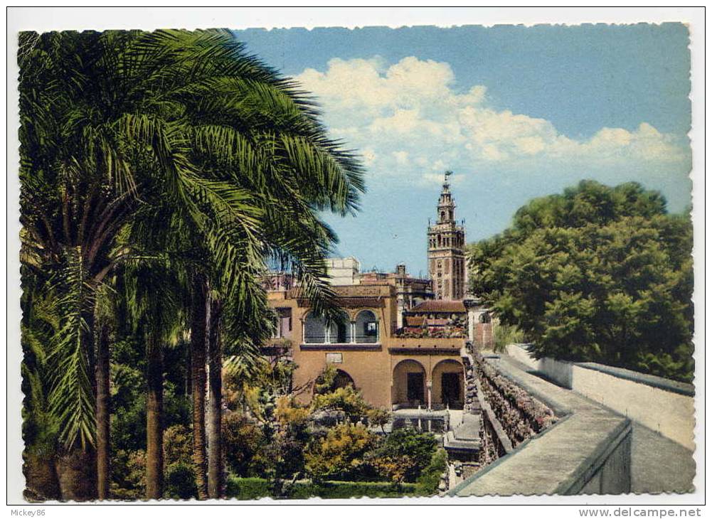 Espagne--SEVILLA------La Giralda  Cpsm  10 X 15   N° 8  éd ????---beau Cachet Hexagonal Et Timbre - Sevilla