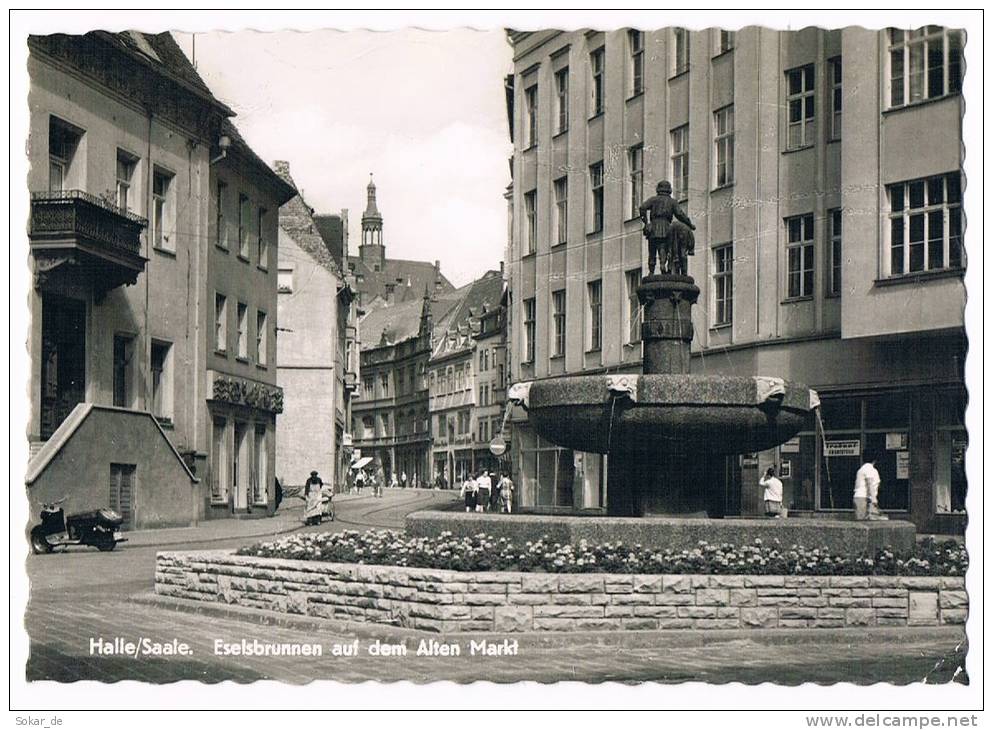 AK Halle/Saale Sachsen-Anhalt, Eselsbrunnen Auf Dem Alten Markt 1966 - Halle (Saale)