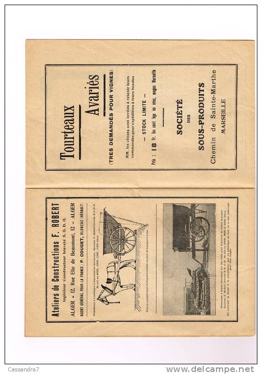 Agricole - Vin - Vigne - Revue De La Viticulture - De Super Pub - Nouveau Statut Viticulture Ecommerce Du Vin Moët & C - Riviste - Ante 1900