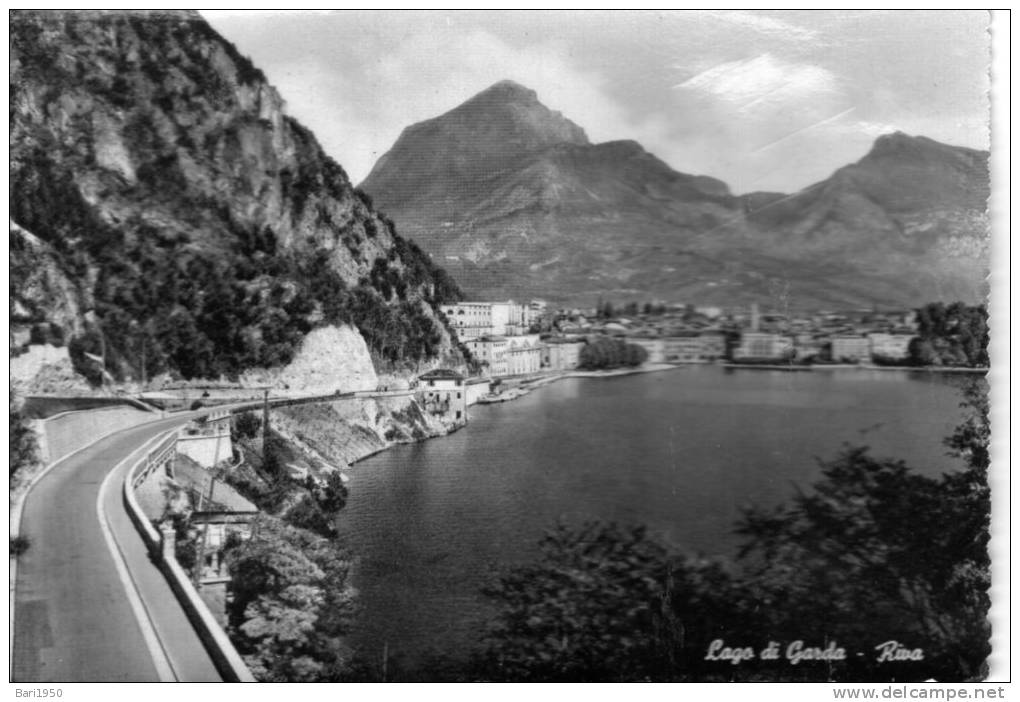 Bellissima   Cartolina   Anni 50        "  Lago Di Garda - Riva   " - Trento