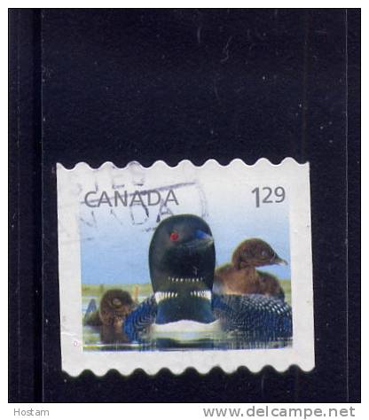 CANADA, 2012,  # 2511, WILDLIFE BABIES" LOON  ,   SINGLE USED From Booklet - Oblitérés