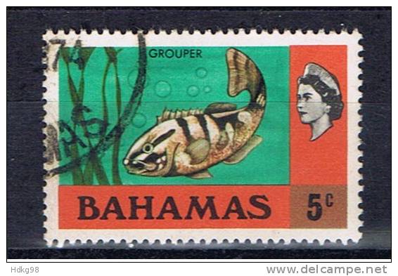 BS+ Bahamas 1971 Mi 322 Fisch - 1963-1973 Autonomia Interna