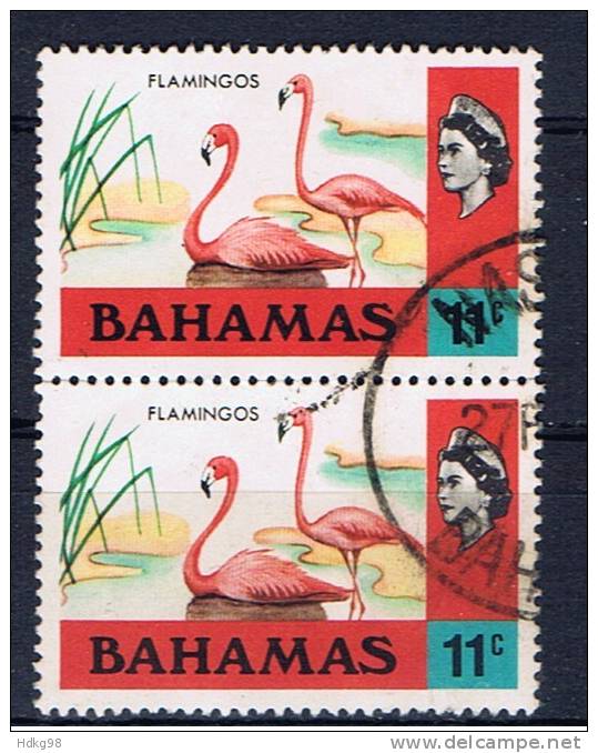 BS+ Bahamas 1971 Mi 325 Flamingos (Paar) - 1963-1973 Autonomie Interne