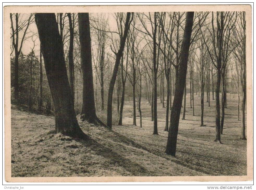 Mariemont,  La Futale (pk6445) - Morlanwelz