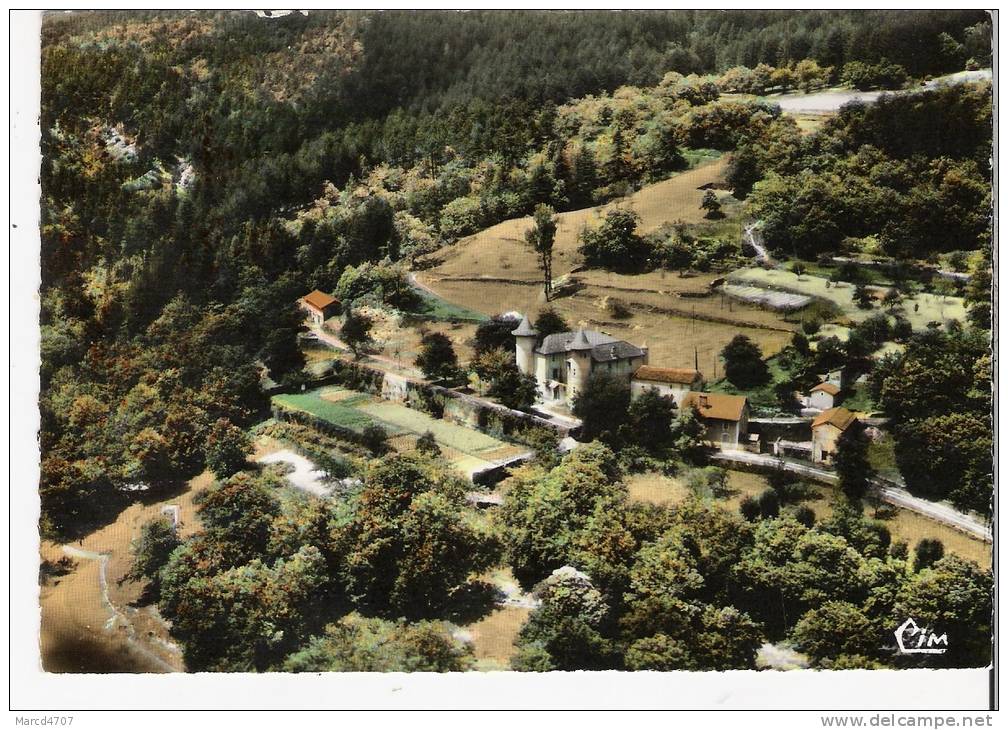 CHAMBORIGAUD 30 Gard Le Chateau De CROUZAS Vue Aérienne - Chamborigaud