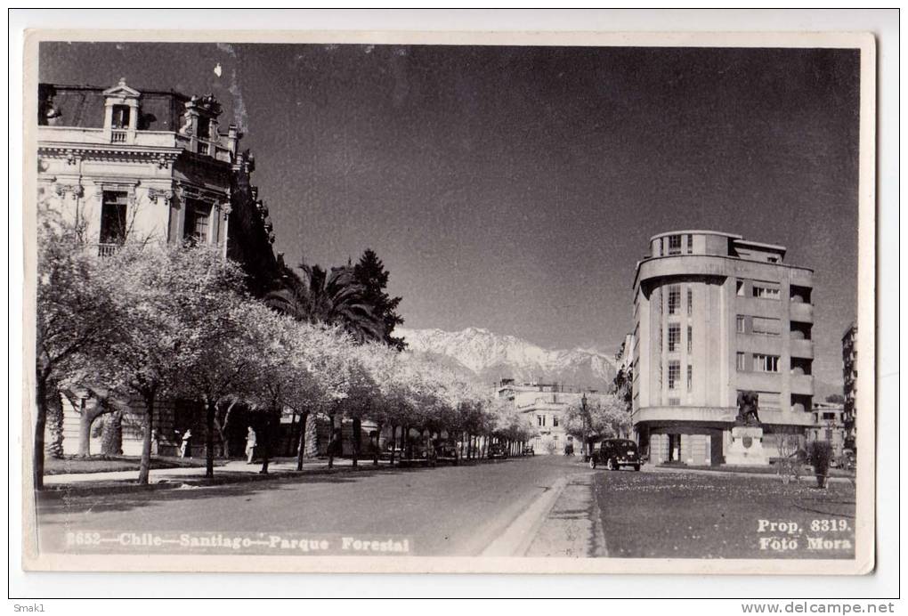 AMERICA CHILE SANTIAGO FOREST PARK OLD POSTCARD - Chile