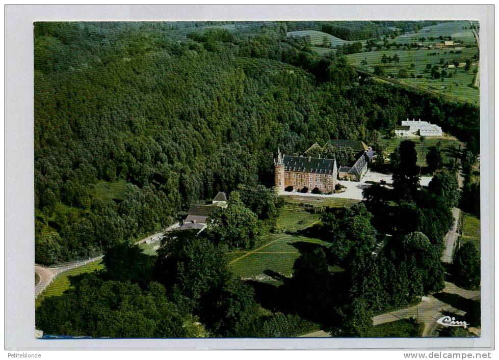 (I869) - Remersdael (Fouron) - Vue Aérienne - Luchtopname - Castel N.-D. - Kasteel - Fourons - Voeren