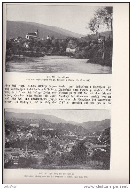 Der Schwarzwald, Land Und Leute, Monographie Von Ludwig Neumann, 1902, 168 Seiten, 171 Abb., 1 Karte - Bade-Wurtemberg