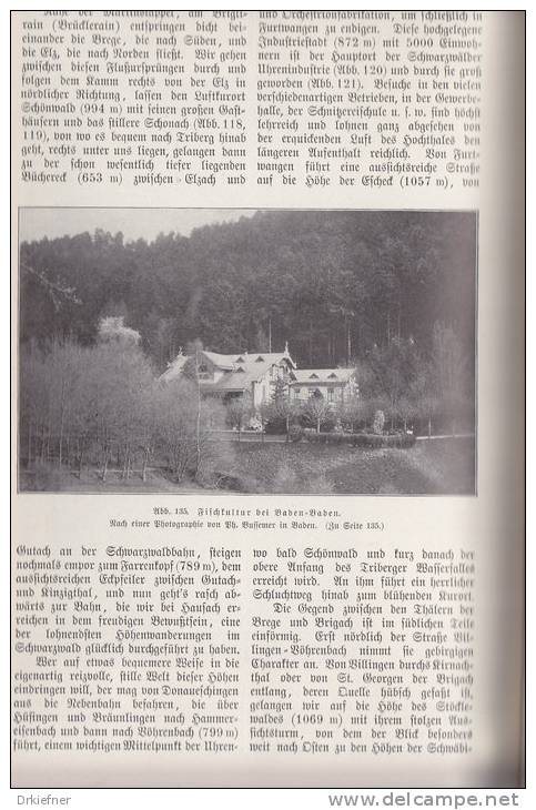 Der Schwarzwald, Land Und Leute, Monographie Von Ludwig Neumann, 1902, 168 Seiten, 171 Abb., 1 Karte - Bade-Wurtemberg