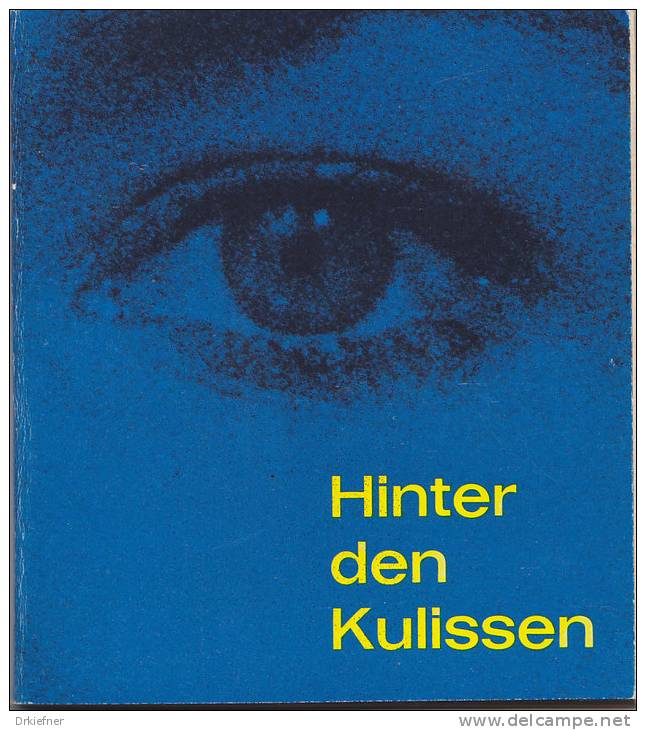 FDP,  Hinter Den Kulissen, Kleinbroschüre, 128 Seiten, 1965 - Política Contemporánea