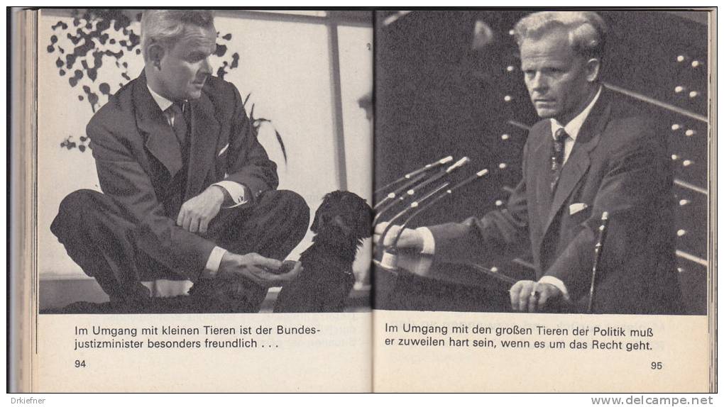 FDP,  Hinter Den Kulissen, Kleinbroschüre, 128 Seiten, 1965 - Politik & Zeitgeschichte