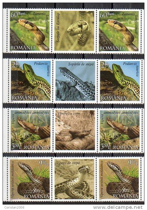 Romania 2011 MNH / Reptiles Of Romania / 2x4 Val With Labels - Snakes