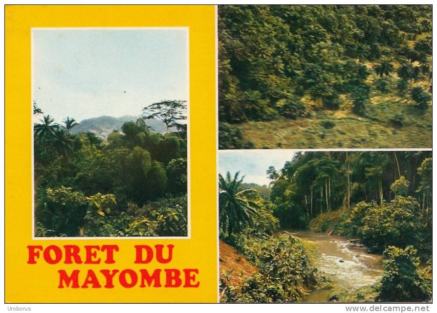 CONGO - Foret Du Mayombe - Autres & Non Classés