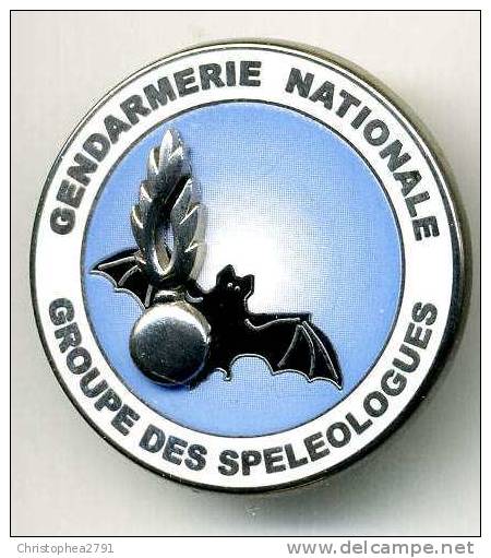 INSIGNE GENDARMERIE NATIONALE LE GROUPE DES SPELEOLOGUES (CHAUVES SOURIS)  ARTHUS BERTRAND HOMOLOGUE GNS 009 - Police