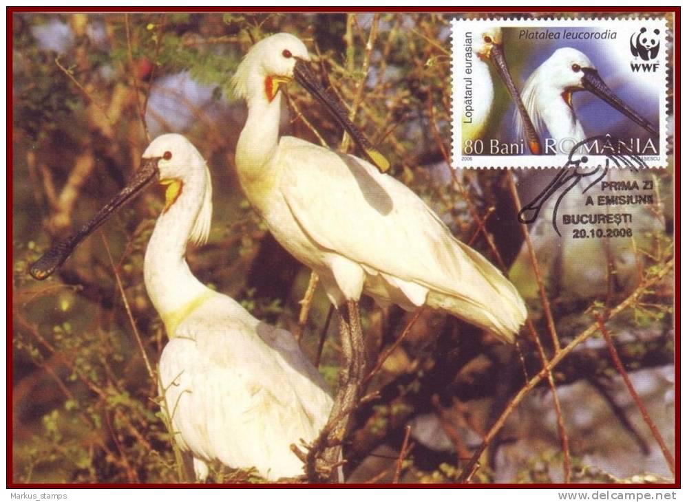 Romania 2006 - Danube Delta Wading Birds 4 FDI Maxicards, Ibis WWF Maximum Cards, FDC - Ooievaars