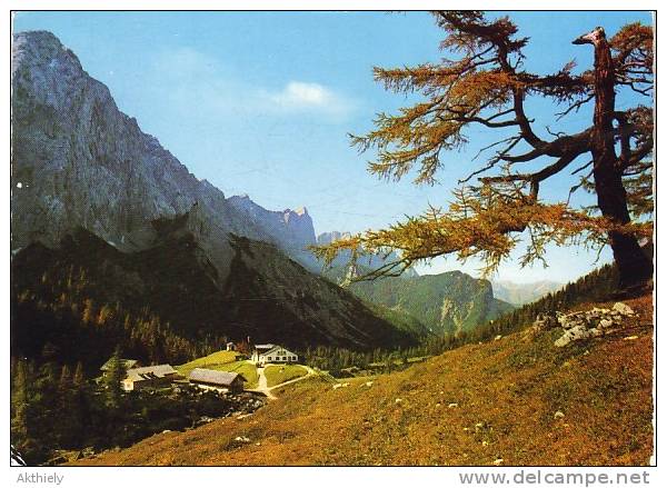 Alpengasthaus Hallerangeralm Ak69206 - Sonstige & Ohne Zuordnung