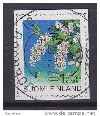 Finland 1997 Mi. 1381    1 LK (1. Klasse) Pflanze Gewöhnliche Traubenkirsche DELUXE Cancel !! - Usati