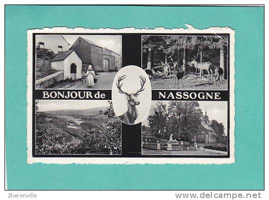 CPSM -  B - NASSOGNE  - Multivues  Dont Cerfs   15/03/1959 - Nassogne