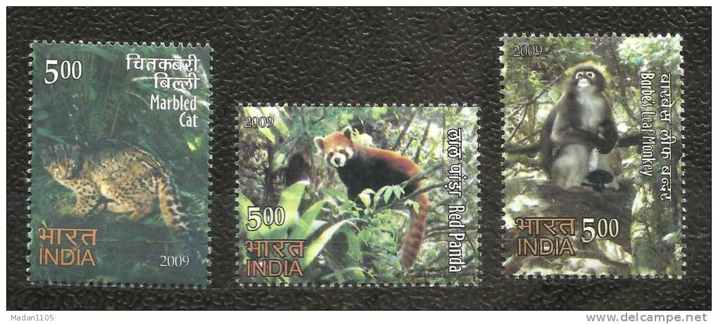 INDIA, 2009, Rare Fauna Set Of North East India,Set 3 V, Cat, Panda, Monkey, Animal,MNH,(**) - Neufs