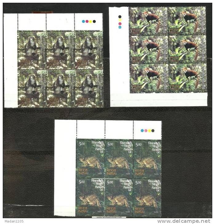 INDIA, 2009, Rare Fauna Set Of North East India,Set 3 V, Block Of 6, Cat, Panda, Monkey, With Traffic Lights, MNH,(**) - Unused Stamps