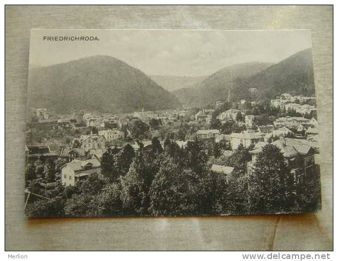 Friedrichroda -  Ca 1910   D86118 - Friedrichroda