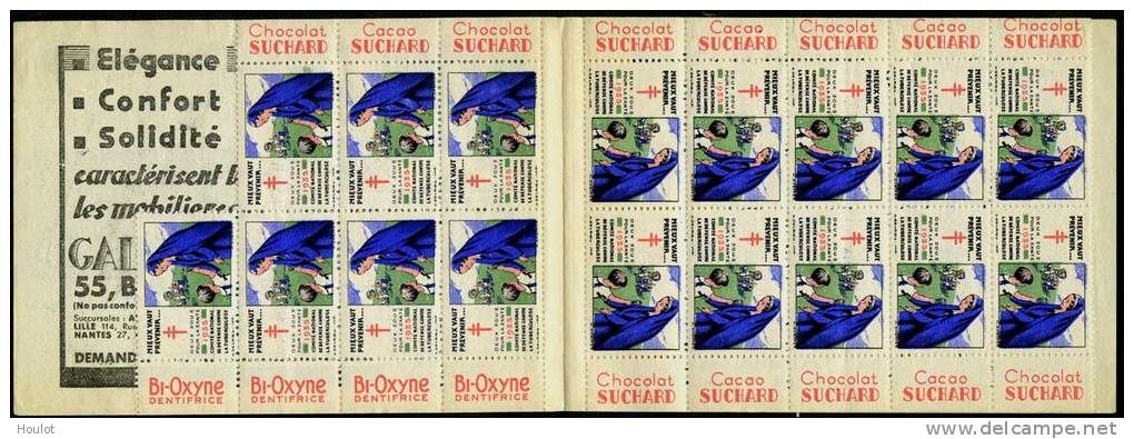 1 Unkomplettes Markenheftchen Mit 17  Briefmarken  Von 1935  **  Comité National De Défense Contre La Tuberculose, - Gedenkmarken