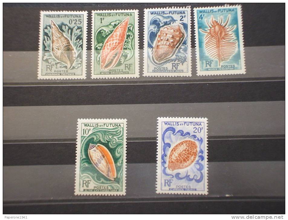 WALLIS ET FUTUNA - 1962/3 CONCHIGLIE 6 Valori  -NUOVI(++)-TEMATICHE - Unused Stamps