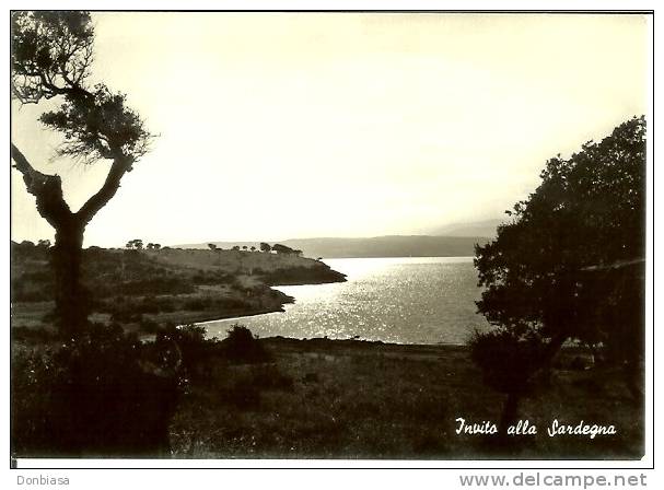 Tirso (Oristano): Invito Alla Sardegna. Cartolina B/n Anni ´50 - Oristano