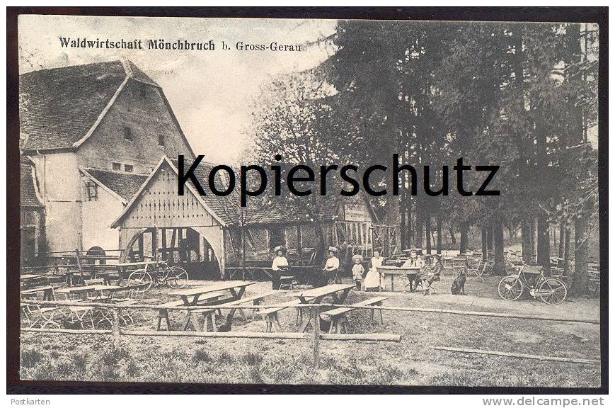 ALTE POSTKARTE WALDWIRTSCHAFT MÖNCHBRUCH BEI GROSS-GERAU Fahrrad Bike Hund Dog Chien Moenchbruch Groß-Gerau Postcard Cpa - Gross-Gerau