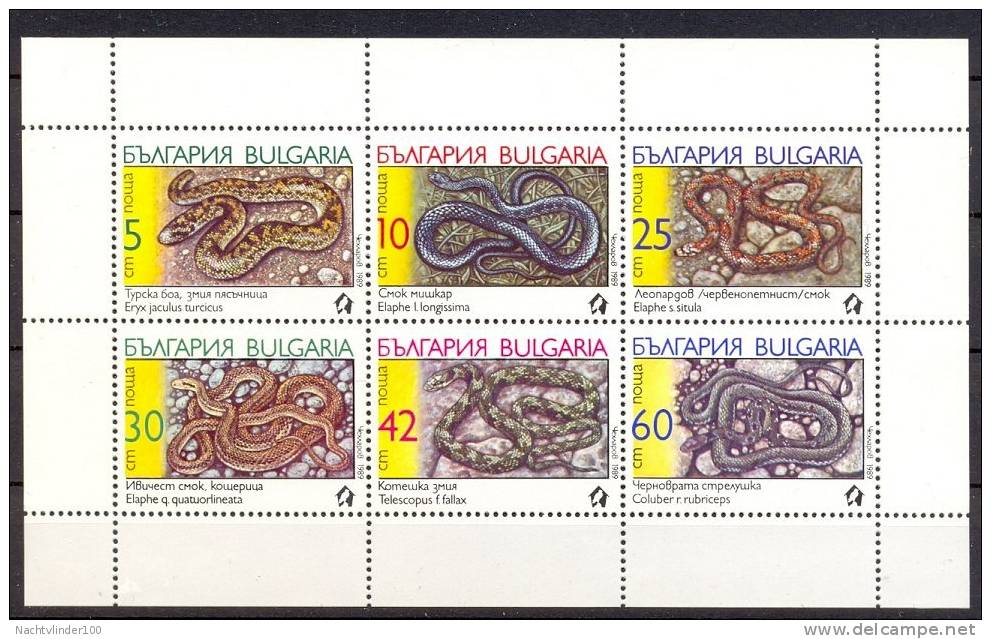 Mzp161b FAUNA REPTIELEN SLANG REPTILES SNAKE SCHLANGEN BULGARIA 1989 PF/MNH - Snakes