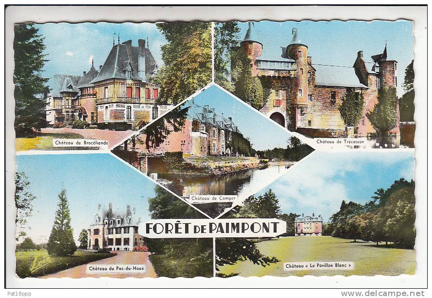 PAIMPONT 35 - Forêt De Paimpont - CPSM Dentelée PF Colorisée (1967) N° 7955 - Ille Et  Villaine - Paimpont