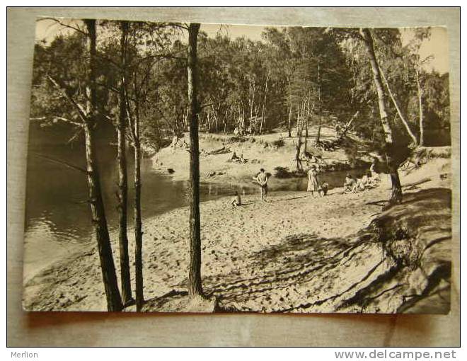 Dübener Heide - Friedrichsee    D86376 - Bad Düben