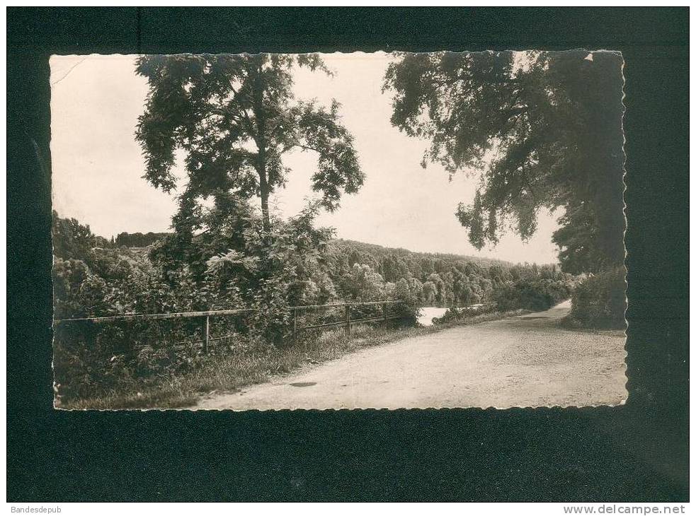 CPSM - Croissy Sur Seine (78) - Berge De La Grenouillere ( Abeille Cartes) - Croissy-sur-Seine