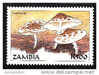 Zm9942 Zambia, Mushrooms Of The World  K500 - Zambia (1965-...)