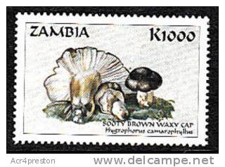Zm9939 Zambia, Mushrooms Of The World  K1000 - Zambia (1965-...)