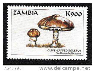 Zm9941 Zambia, Mushrooms Of The World  K900 - Zambia (1965-...)