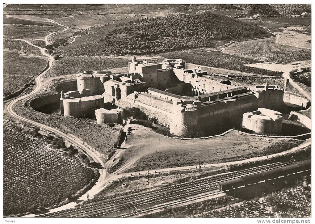 Cpm66 Salses Le Chateau Vue Aerienne - Salses